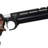 Steyr EVO 10 kaufen | Preis, Auflage & Compact Modell